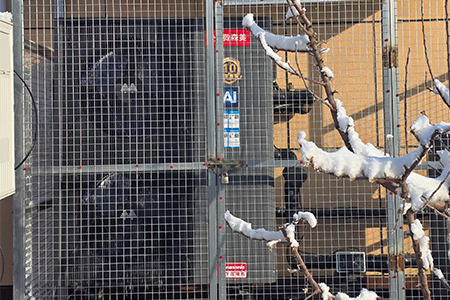 12月19日家用空气源热泵安装